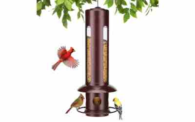 Kingsyard BF327 Squirrel Proof Bird Feeder Review 2026