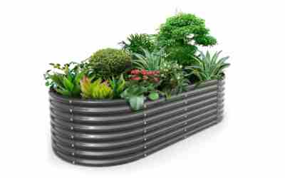 Is It Safe to Plant Vegetables in Galvanized Steel Beds?