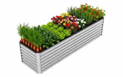 Raised Garden Bed Size: 3-4 Ft Wide, 12-18 In Tall