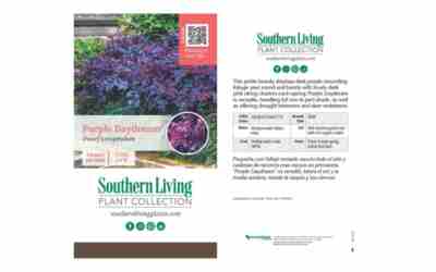 How to Plant Shrubs Properly So They Survive