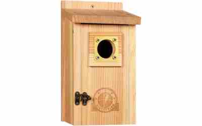 Is It Safe to Paint Birdhouses? What to Paint and Skip