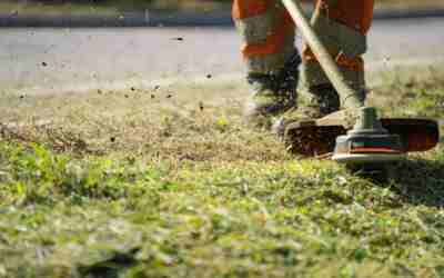 Weed Wacker vs Brush Cutter: Which Do You Need?