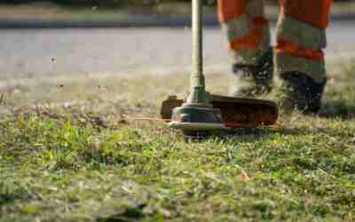 Are Electric Mowers Powerful Enough? Yes, to 1/2 Acre