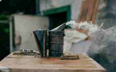 How to Start a Smoker: Charcoal, Pellet and Electric