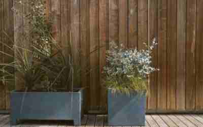 How Long Do Cedar Planters Last? Real Lifespans