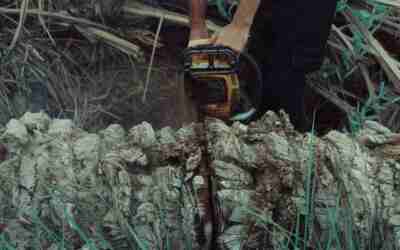 How to Size a Chainsaw Chain (Pitch, Gauge, Links)