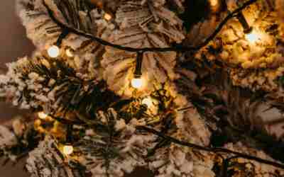 Tree Solar Lights With a Warm Glow: How to Choose