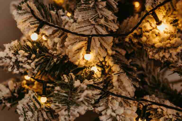 Close-up of a snow-covered Christmas tree adorned with warm glowing string lights.