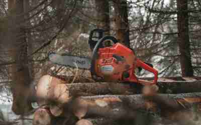 Can You Chainsaw Wet Wood? Safety Rules and Tips