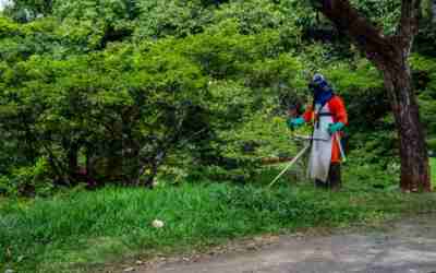 Weed Wacker vs Lawn Mower: Which Do You Need?