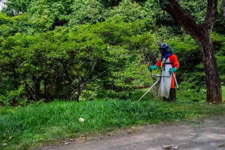 A gardener in protective gear trims the grass in a lush park in Londrina, Brazil.