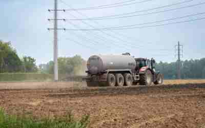 When to Apply Chicken Manure Pellets in Early Spring
