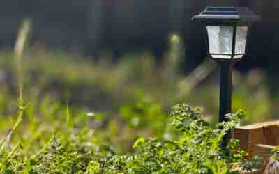 Are Outdoor Solar Lights Any Good? Honest Verdict