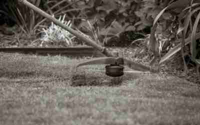 Weed Wacker vs Edger: Buy a Trimmer First, Edger Second