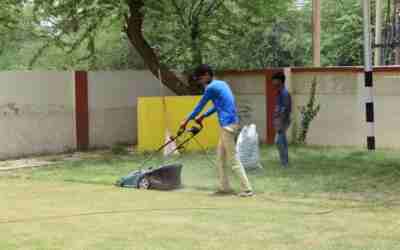 Should I Buy an Electric Lawn Mower? Decision Guide