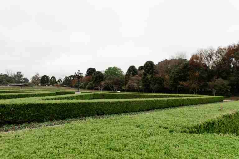 Lush green hedges create a maze in a picturesque outdoor park during early spring.