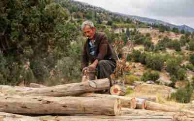 How Much Compression Should a Chainsaw Have?