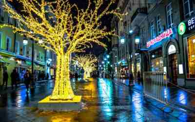 Can Christmas Lights Get Wet? Rain and Snow Rules