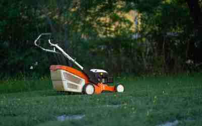 Why Won’t My Lawn Mower Cord Pull? Quick Tests & Fixes