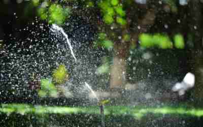 Spray vs Rotor Sprinklers: Which Is Right for You?
