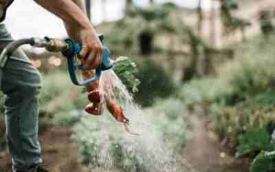 Garden Hose Water Usage: 5 to 10 Gallons per Minute