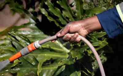 What Is a Good Garden Hose? Specs That Matter