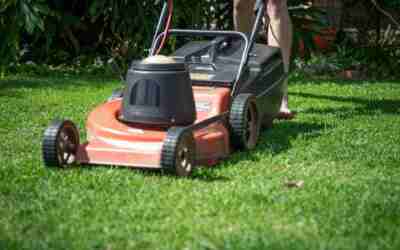 Are Manual Lawn Mowers Any Good? Pros, Cons, Who Wins