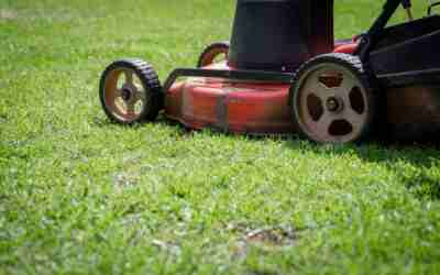 Why Is Your Lawn Mower Leaking Oil? Causes and Fixes