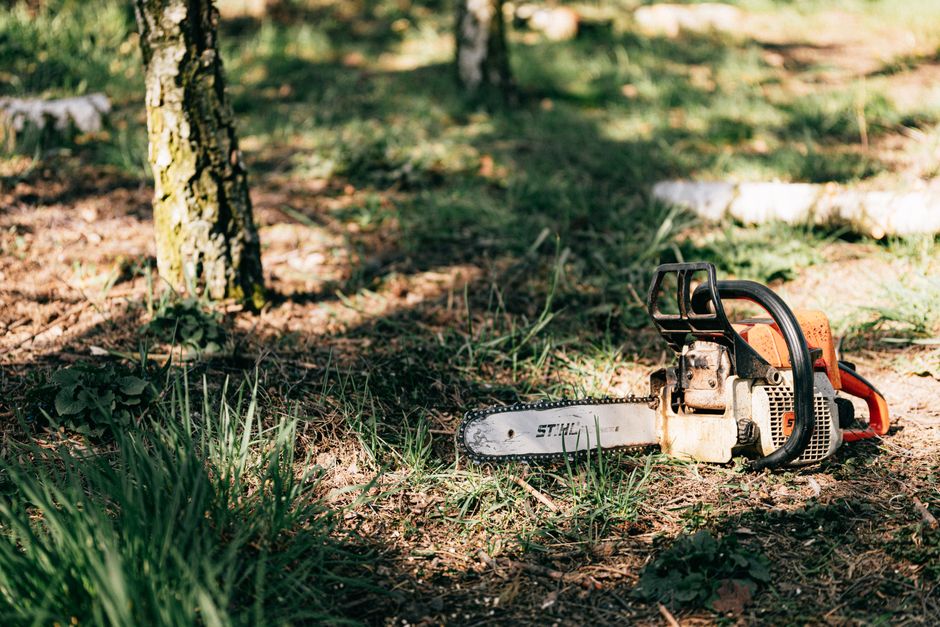 A chainsaw lies on the ground amidst grass and trees, bathed in sunlight.