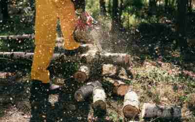 How Much Does a Chainsaw Cost? Prices by Type