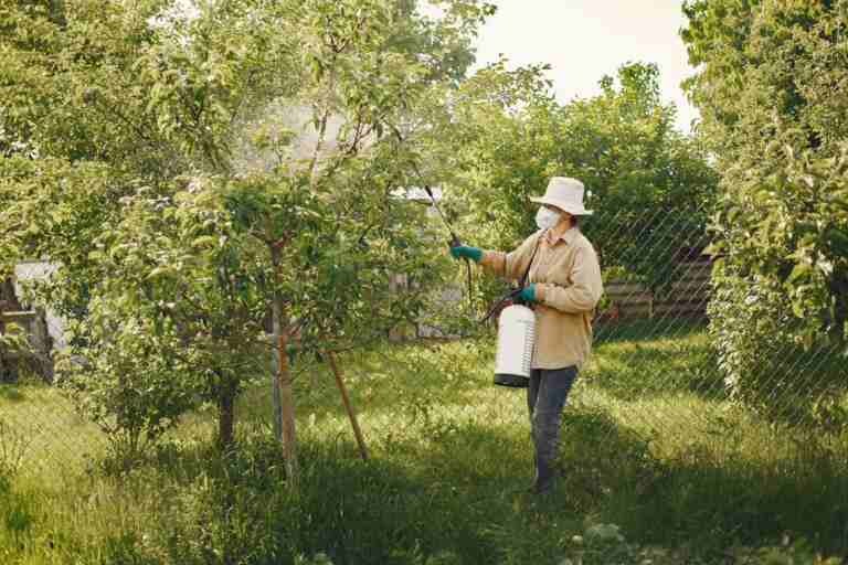 Woman in protective gear spraying pesticides on garden trees with a spray bottle.