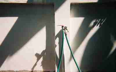 Are Garden Hoses Safe to Drink From? Only If Certified