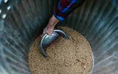 Use Wood Pellets in an Electric Smoker: Loads and Steps