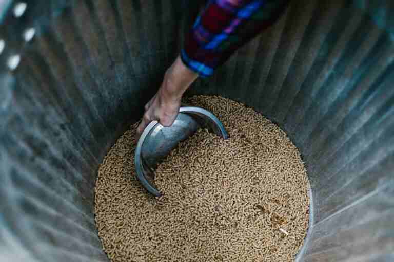 Close-up of a hand using a bowl to scoop animal feed from a metal bin.